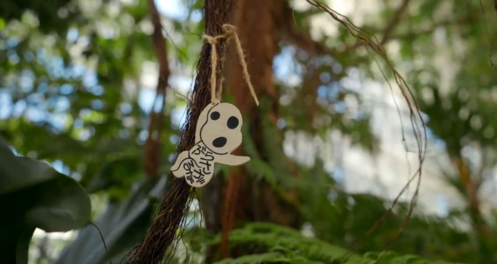 Dondokodo Forest