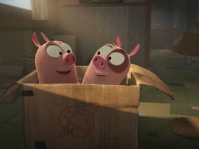 Cardboard