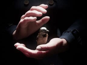 A Sparrow's Song