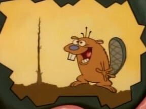 Tooth Beaver